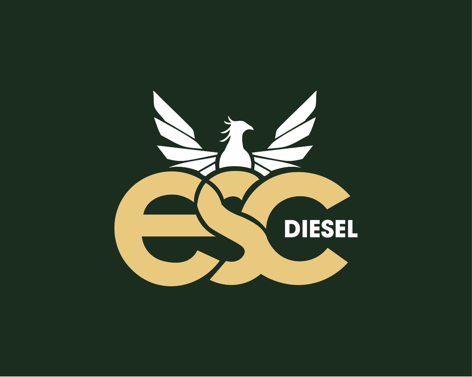 ESC Diesel — Oficina especializada Mercedes-Benz